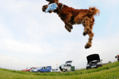 2011.05.22 - Team Party - Turbia