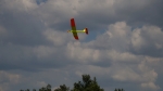DSC___(74)