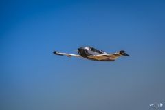 2019.03.24 - Trening - Tarnobrzeg obloty