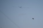 IMG000065