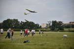 F5J-Stary_jawor045