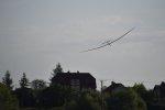 F5J-Stary_jawor050