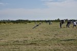 img_000010