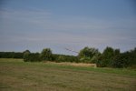 img_000042