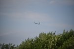 img_000100