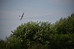 img_000101