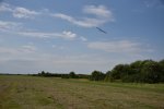 img_000103