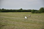 img_000126