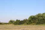 img_000141