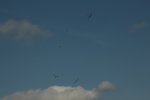 IMG00026