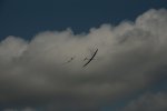 IMG00027