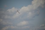 IMG00109