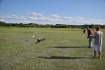IMG00114