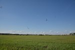 IMG00127