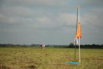 021-IMG_4229