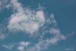 069-IMG_9332
