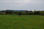 005-DSC_6268
