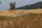 109-DSC_6537
