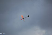 43-DSC_6772