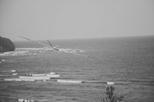 084-Fot-189