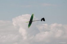 116-IMG00217