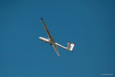 151-IMG00316