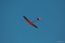 168-IMG00340
