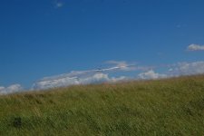 14-DSC_6967