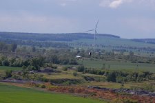 25-DSC_6979