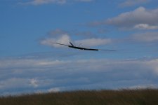 48-DSC_7012