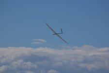 54-DSC_7019