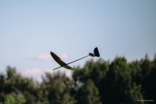 017-IMG_5526
