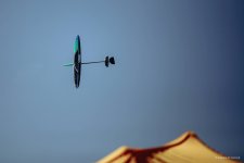 037-IMG_5668