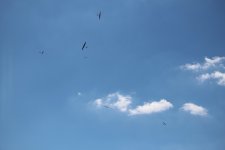 052-IMG_8392