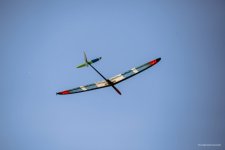 104-IMG_5916