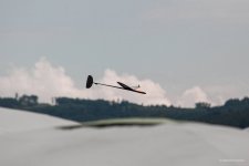049-IMG_7005
