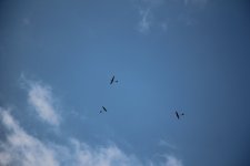 082-IMG_8652
