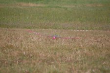 021-DSC_7406
