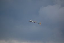 025-DSC_7410