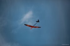 010-IMG_0688