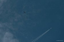 052-IMG_0887-