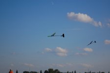 118-DSC_7745