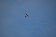 163-DSC_7827