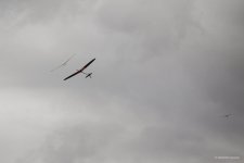 IMG00018