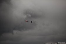 IMG00135