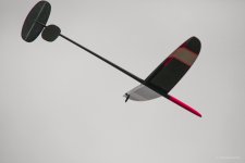 005-IMG_4452