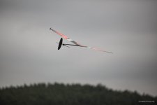 025-IMG_4630