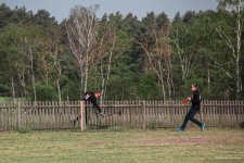 117-IMG_5354