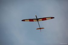 119-IMG_5429