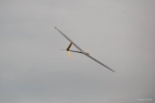 145-IMG_5629